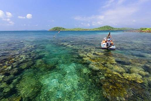 Dải san h phong ph v tuyệt đẹp ở đảo Mng Tay