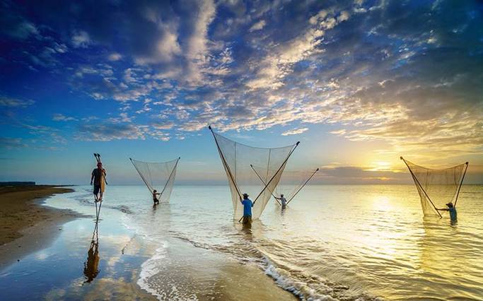 V-shaped net fishing in Ba Dong beach, Tra Vinh, Vietnam