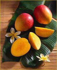 http://www.sunnysanya.com/images/Tropical_Fruits_Mango1.jpg