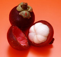 http://www.sunnysanya.com/images/mangosteen1.JPG