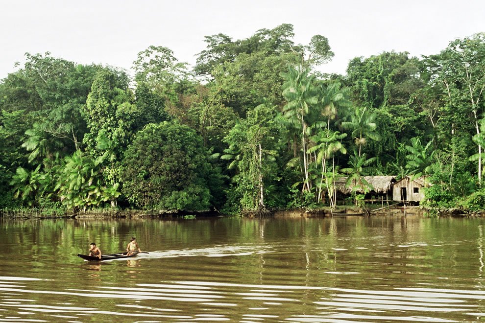 A typical house in the Amazon