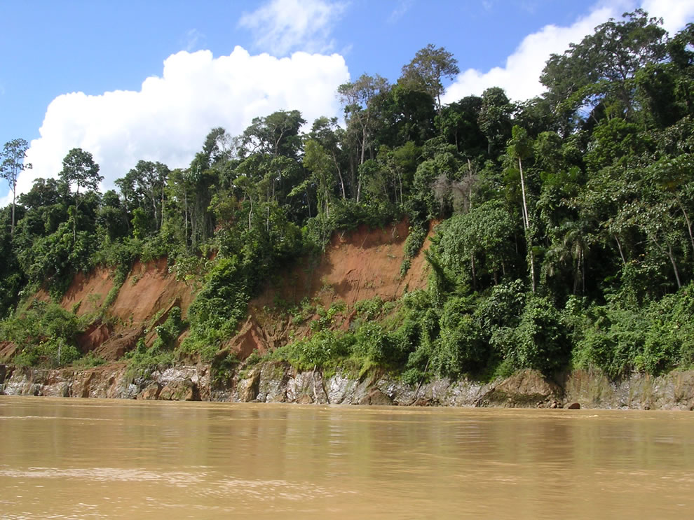 Amazon, Tropical rainforest, Peru