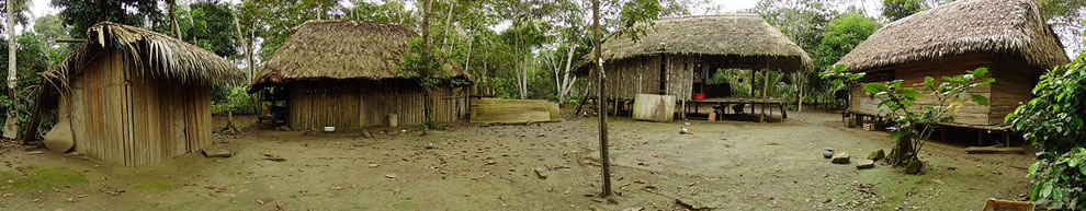 Native village of Chipitiere, in the Cultural Zone of Manu National Park, Peru