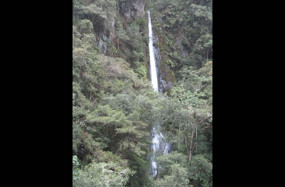 Waterfall flowing from the Andes down in the Amazon Basin