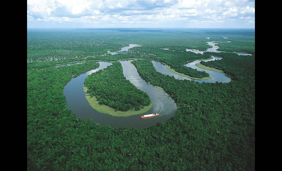 Brazilian Amazon